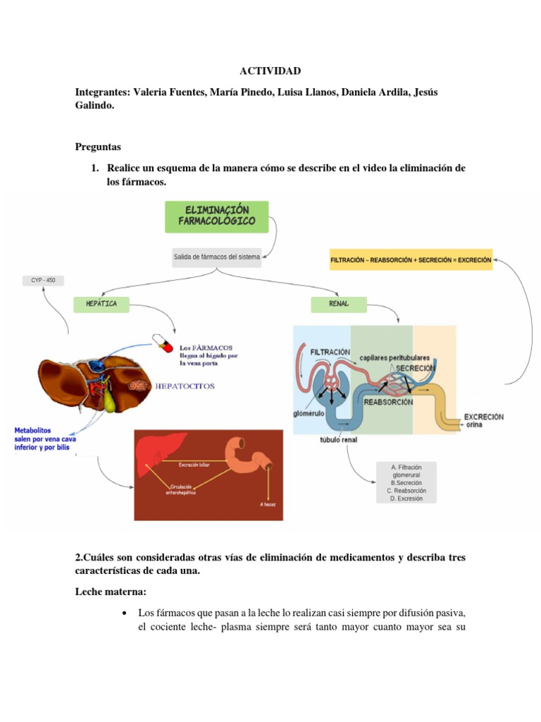 Actividad Farmaco PDF Enzima Medicamentos con receta