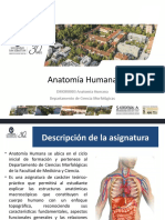 Clase 00 ¿Qué Es La Anatomia - DMOR0003 - 2022.20