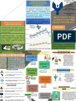 OBLIGACIONES Y CONSECUENCIAS POR SU INCUMPLIMIENTO