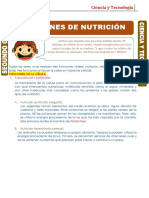 Funciones-De Nutrición