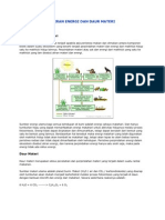 ALIRAN ENERGI DAN DAUR MATERI