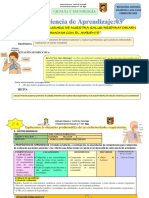 Explicamos Las Enfermedades Respiratorias