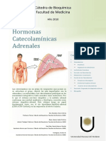 Catecolaminas