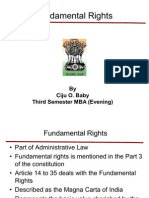 Laws for Business - Fundamental Rights