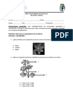 PRE Y POST PRUEBA DE CIENCIAS SEGUNDO GRADO. Nombre - Fecha - Grupo - Prof. Puntuación