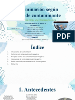 Grupo 2. Contaminación Según El Tipo de Contaminante