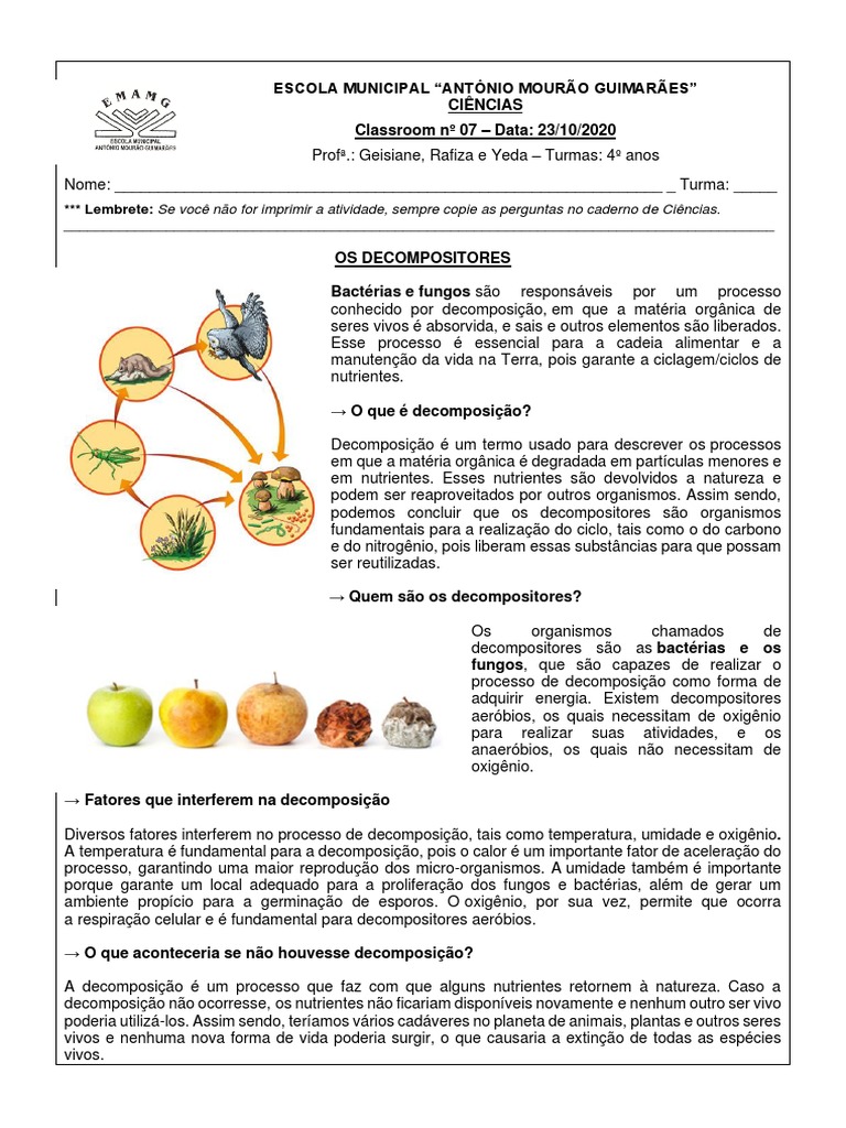 Atividade de Ciências | PDF | Decomposição | Organismos