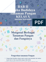 Usaha Budidaya Tanaman Pangan