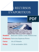 Los Recursos Evaporiticos