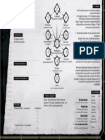 Cientific o