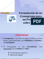 Presentacion Cronograma de Actividades en PRP (RAMA)