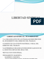 Libertad Sindical 2017