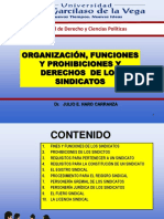 PDF 6. Organización de Los Sindicatos