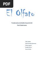 Download EL OLFATO by Emmanuel Gma SN58707074 doc pdf
