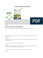 ontoh Interaksi Antar Komponen Biotik