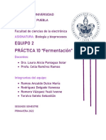 Práctica 10. Fermentación