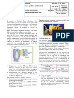 Poríferos y Cnidarios CTA 1 N°8