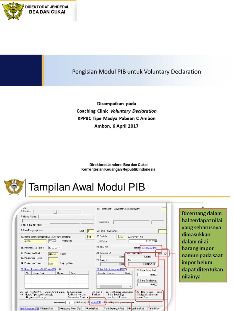Panduan Pengisian Modul PIB | PDF