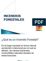 100728 Incendios Forestales