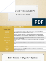 Digestive System (2015 - 06 - 09 20 - 43 - 48 Utc)