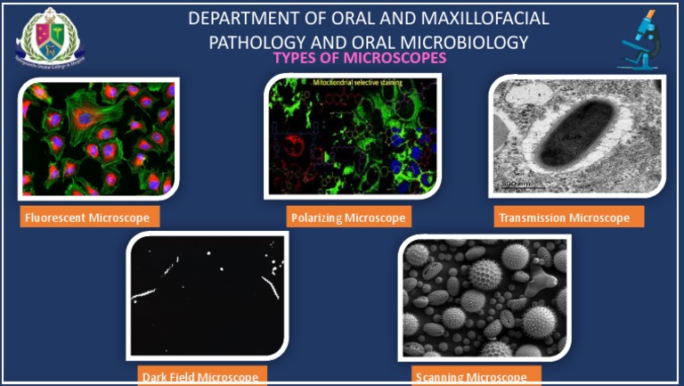 Types of Microscopes: Fluorescent Microscope Polarizing Microscope ...