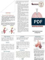 Aparato Respiratorio