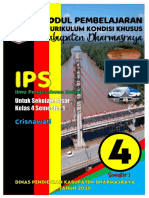 Modul IPS 4