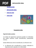Función y Proceso de la Transcriptasa Inversa | PDF | La transcriptasa ...