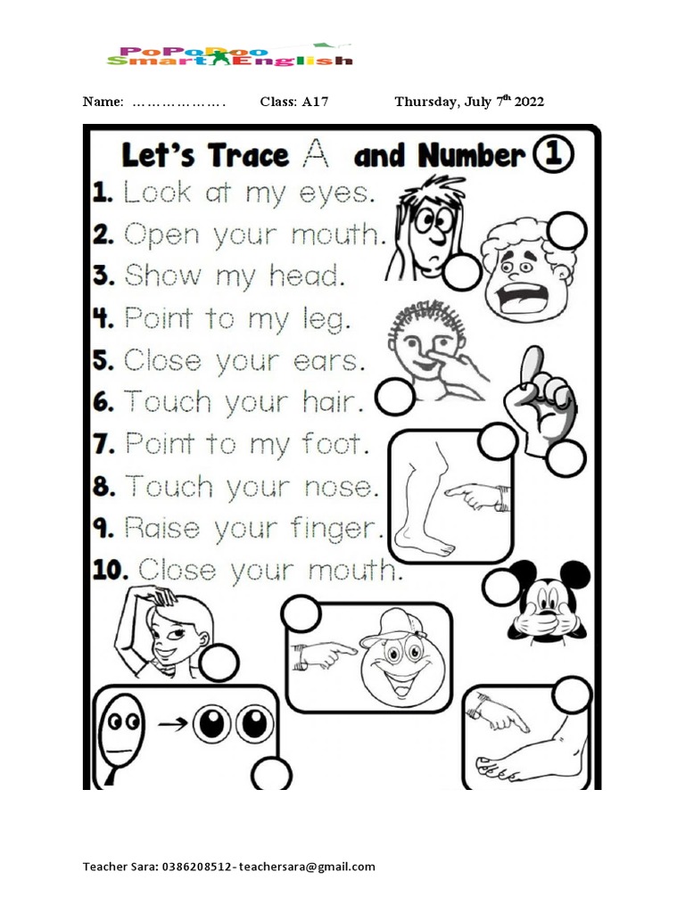 A3 - Test | PDF