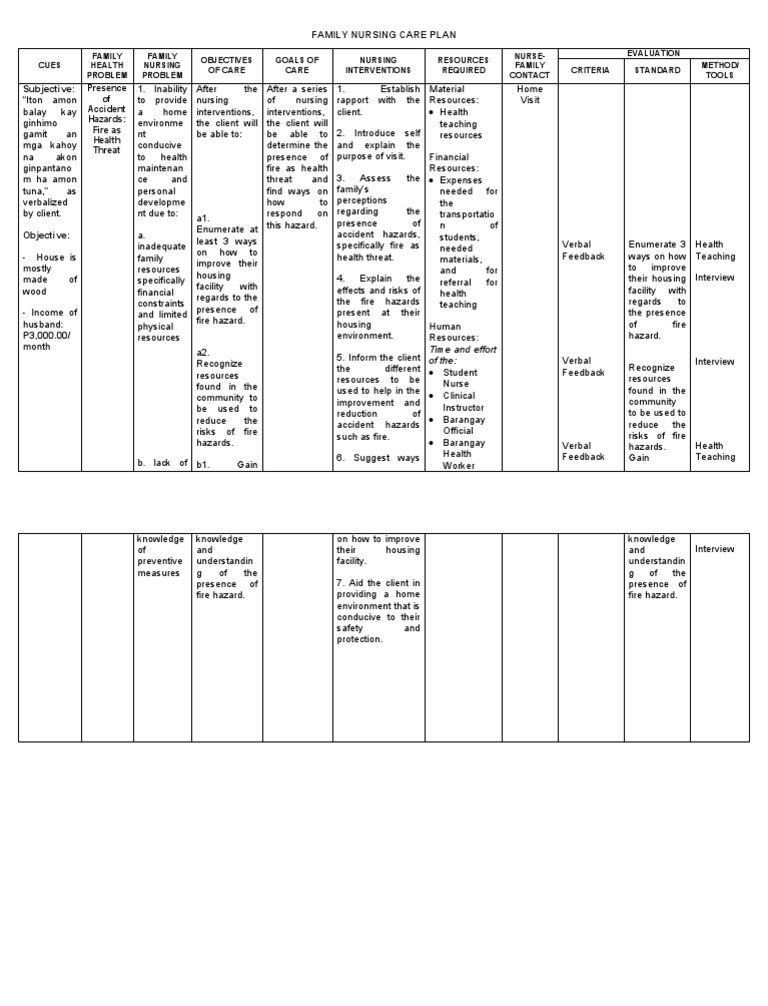 Family Nursing Care Plan Presence of Accident Hazards Fire As Health
