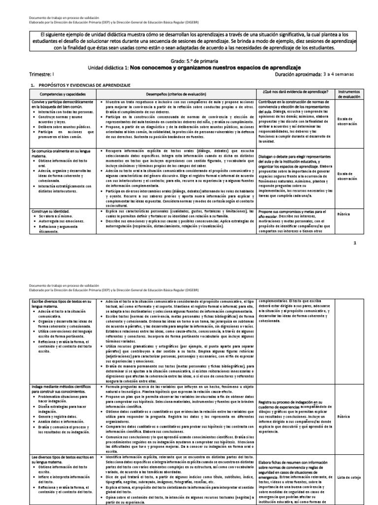 Unidades Quinto Grado PDF Aprendizaje Investigación cuantitativa
