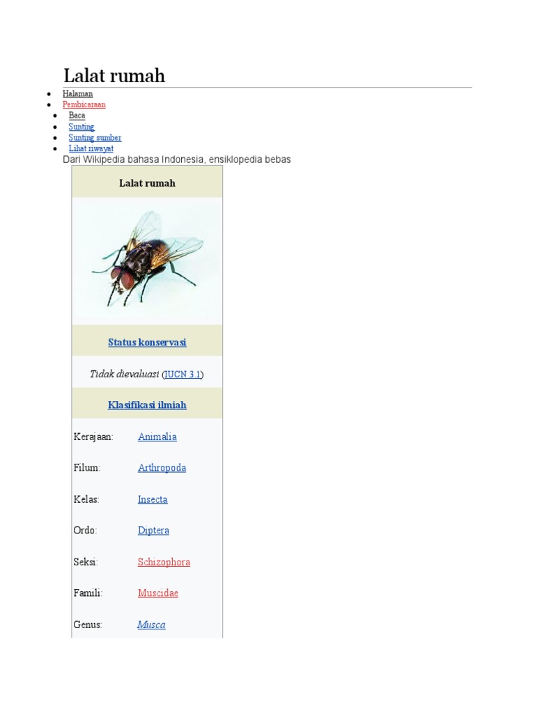 Lalat Rumah: Musca domestica dan Karakteristiknya | PDF