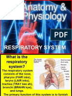 172 Anatomy Resp System