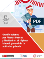 Guia de Gratificaciones