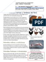 FICHA - CIENCIA Y TECNOLOGIA - Animales Nativos y Foráneos Del Perú 08-08-2022