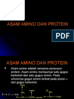 Asam-Amino & Protein