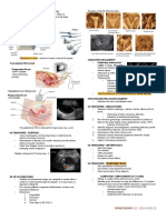 [Gyne] 1.5 Diagnostic Procedures (Marinas) - AOB