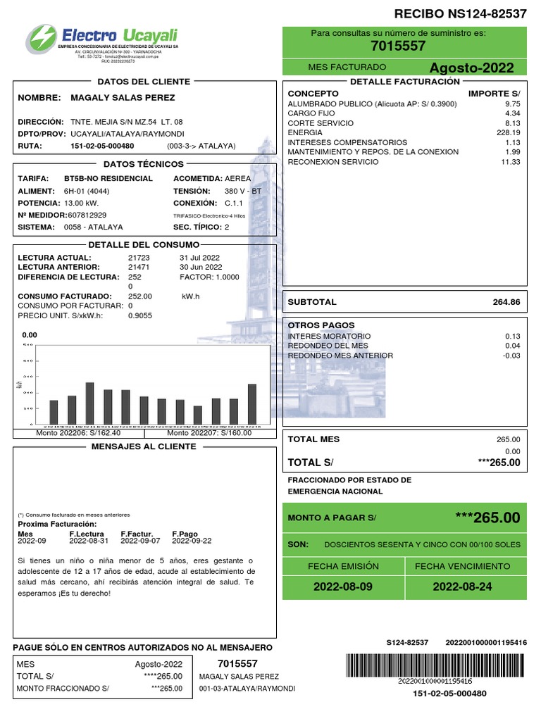Recibo de Luz | PDF | Electricidad | Ingenieria Eléctrica