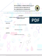 Informe 4 - Polihidroxialcanoatos