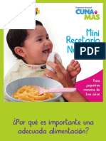 Mini Recetario Nutritivo