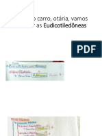 Eudicotiledôneas PDF