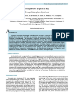 Tricuspid Valve Dysplasia in Dogs