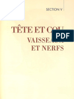 Vaisseaux Et Nerfs