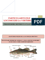 Particularitatile Locomotiei La Vertebrate Prof. Mitrica - PPTM