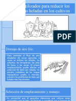 Métodos Utilizados para Reducir Los Efectos de Las Heladas en Los Cultivos