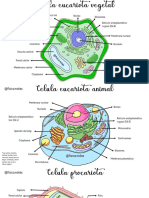 Ayuda Paredes 2 @fisica - Notes