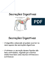 Secreções digestivas e suas funções