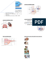 Farmacologia Del Aparato Respiratorio 1