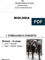 Miologia