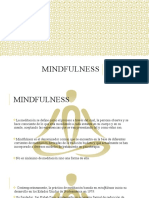 MINDFULNESSaramilugo